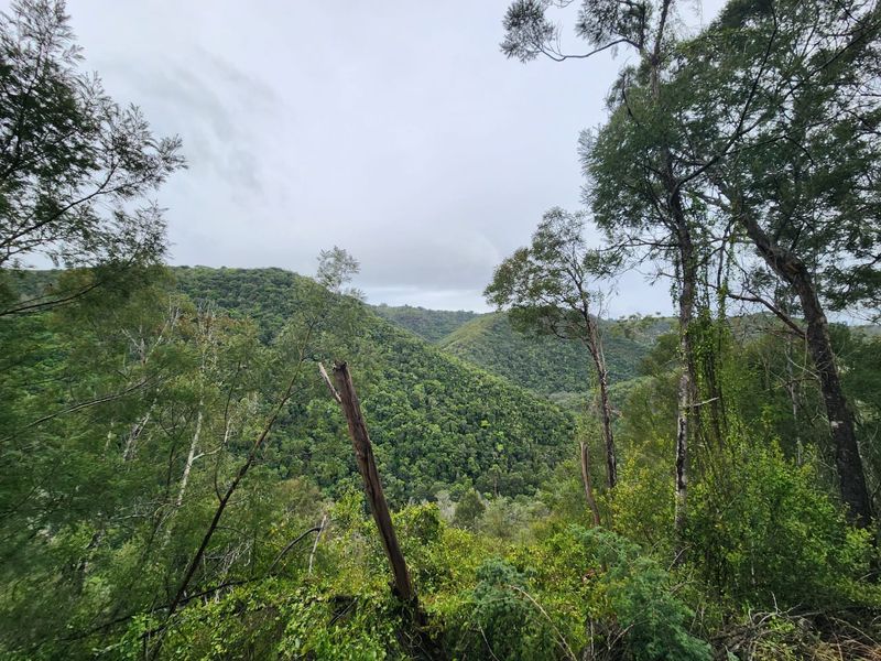 Nature Lovers' Paradise! - Photo 1