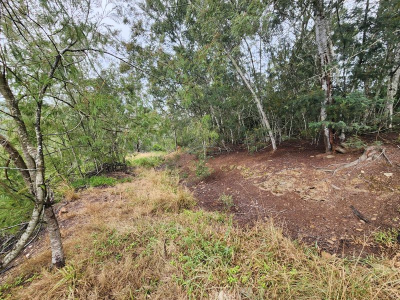 Nature Lovers' Paradise! - Photo 5