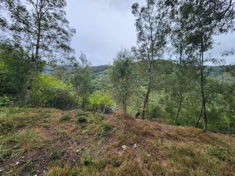 Nature Lovers' Paradise! - Photo 8