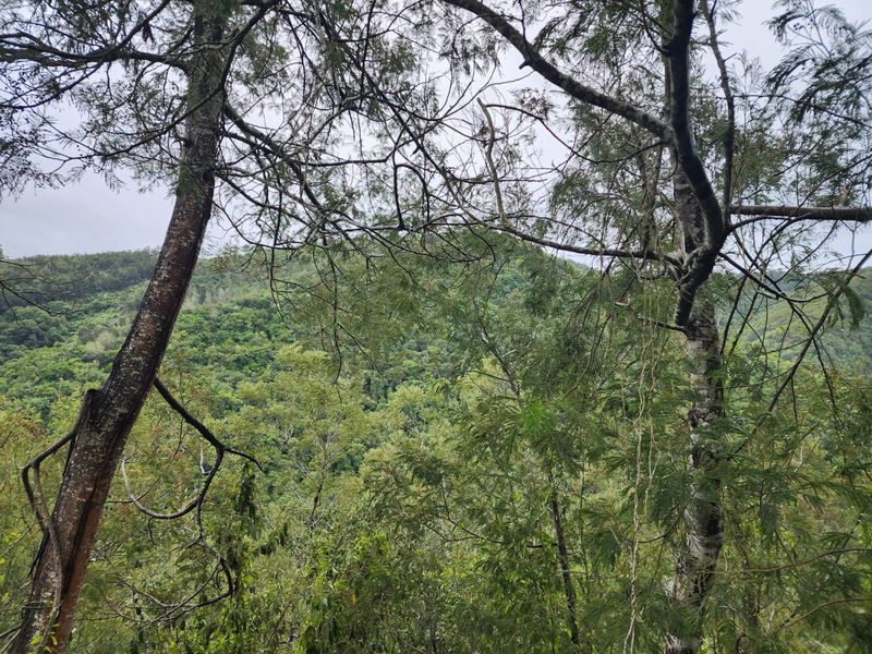 Nature Lovers' Paradise! - Photo 10