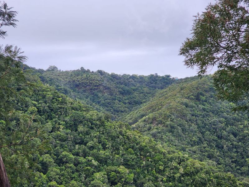 Nature Lovers' Paradise! - Photo 3