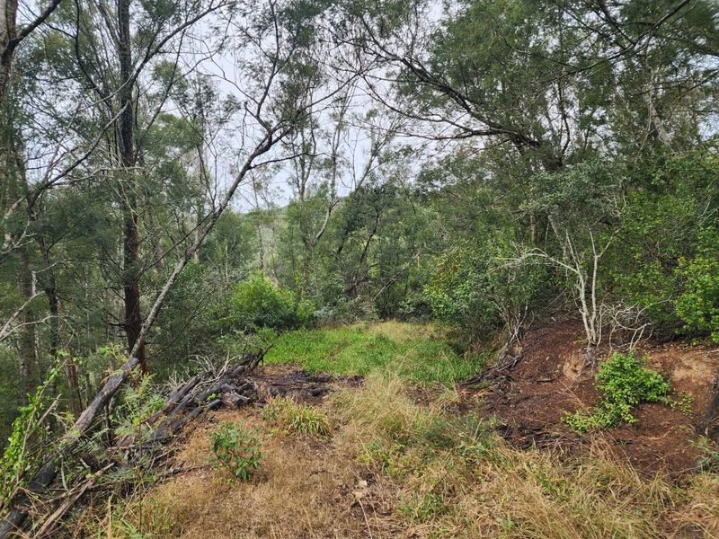 Nature Lovers' Paradise! - Photo 9