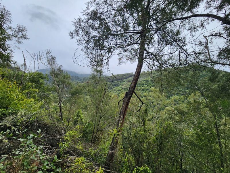 Nature Lovers' Paradise! - Photo 6