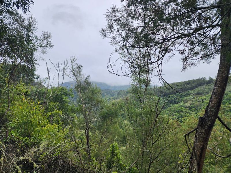 Nature Lovers' Paradise! - Photo 2