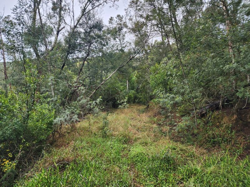 Nature Lovers' Paradise! - Photo 4