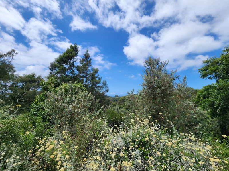 5.8 hectares prime smallholding - Photo 3