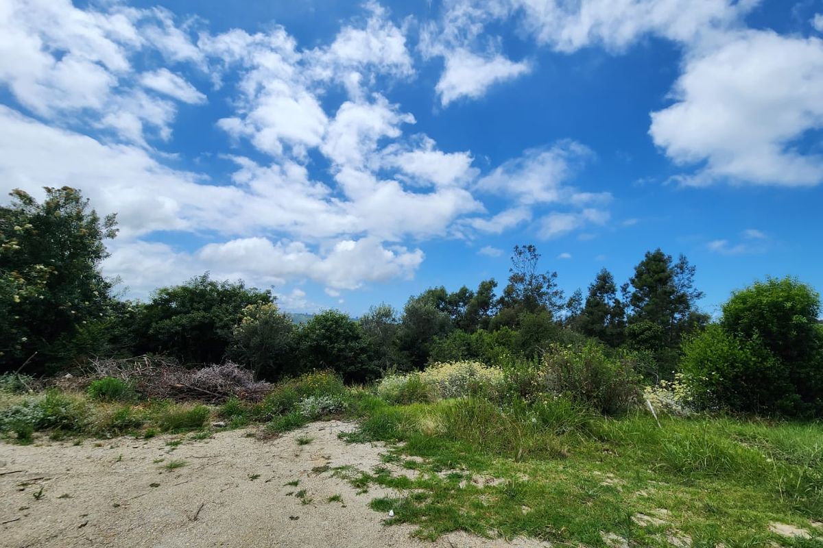 5.8 hectares prime smallholding - Photo 4