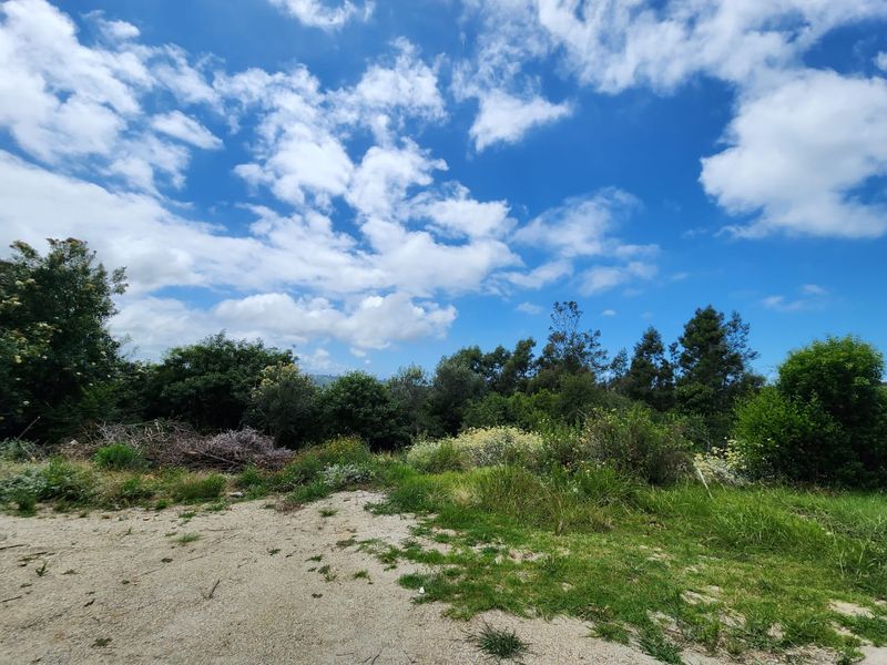 5.8 hectares prime smallholding - Photo 4