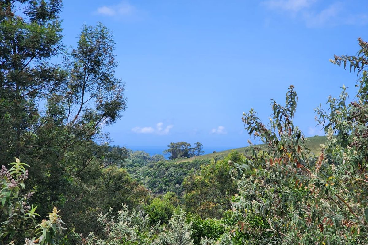 5.8 hectares prime smallholding - Photo 2