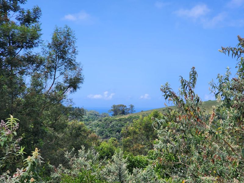 5.8 hectares prime smallholding - Photo 2