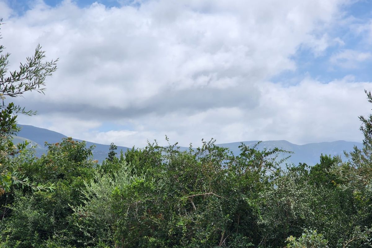 6.2 Hectare Prime smallholding to make your own! - Photo 3