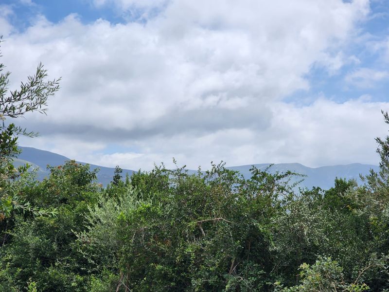 6.2 Hectare Prime smallholding to make your own! - Photo 3