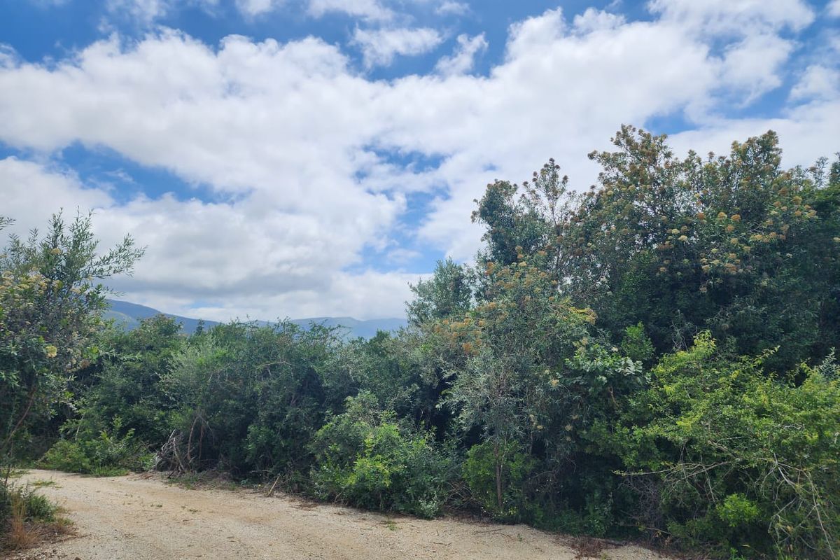 6.2 Hectare Prime smallholding to make your own! - Photo 2