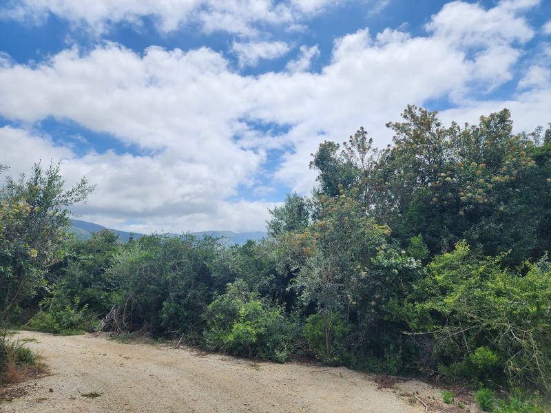 6.2 Hectare Prime smallholding to make your own! - Photo 2