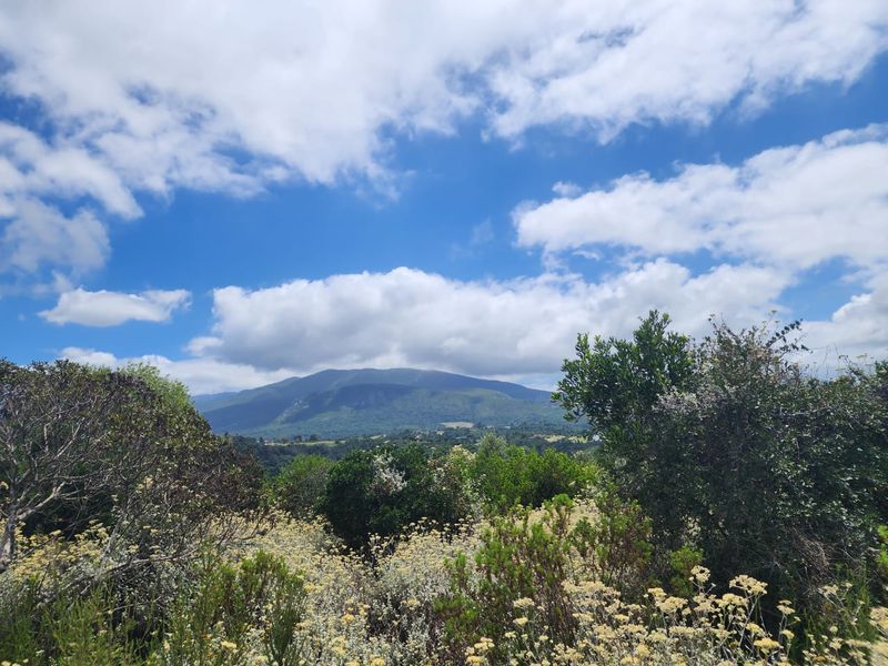 6.2 Hectare Prime smallholding to make your own! - Photo 8