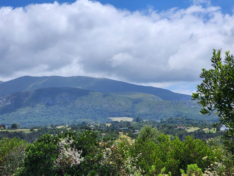 6.2 Hectare Prime smallholding to make your own! - Photo 7