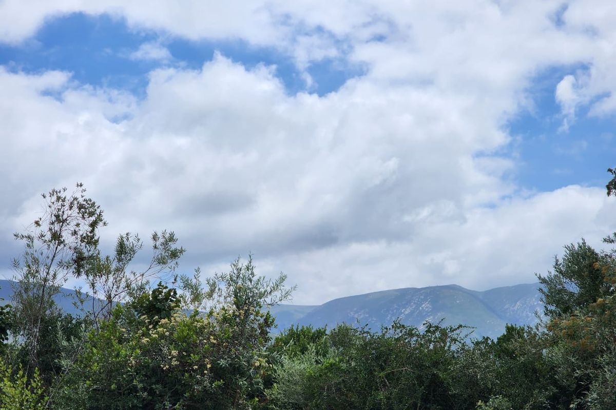 6.2 Hectare Prime smallholding to make your own! - Photo 4