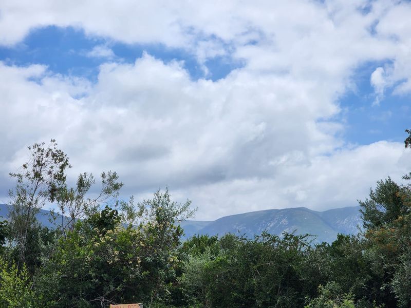 6.2 Hectare Prime smallholding to make your own! - Photo 4