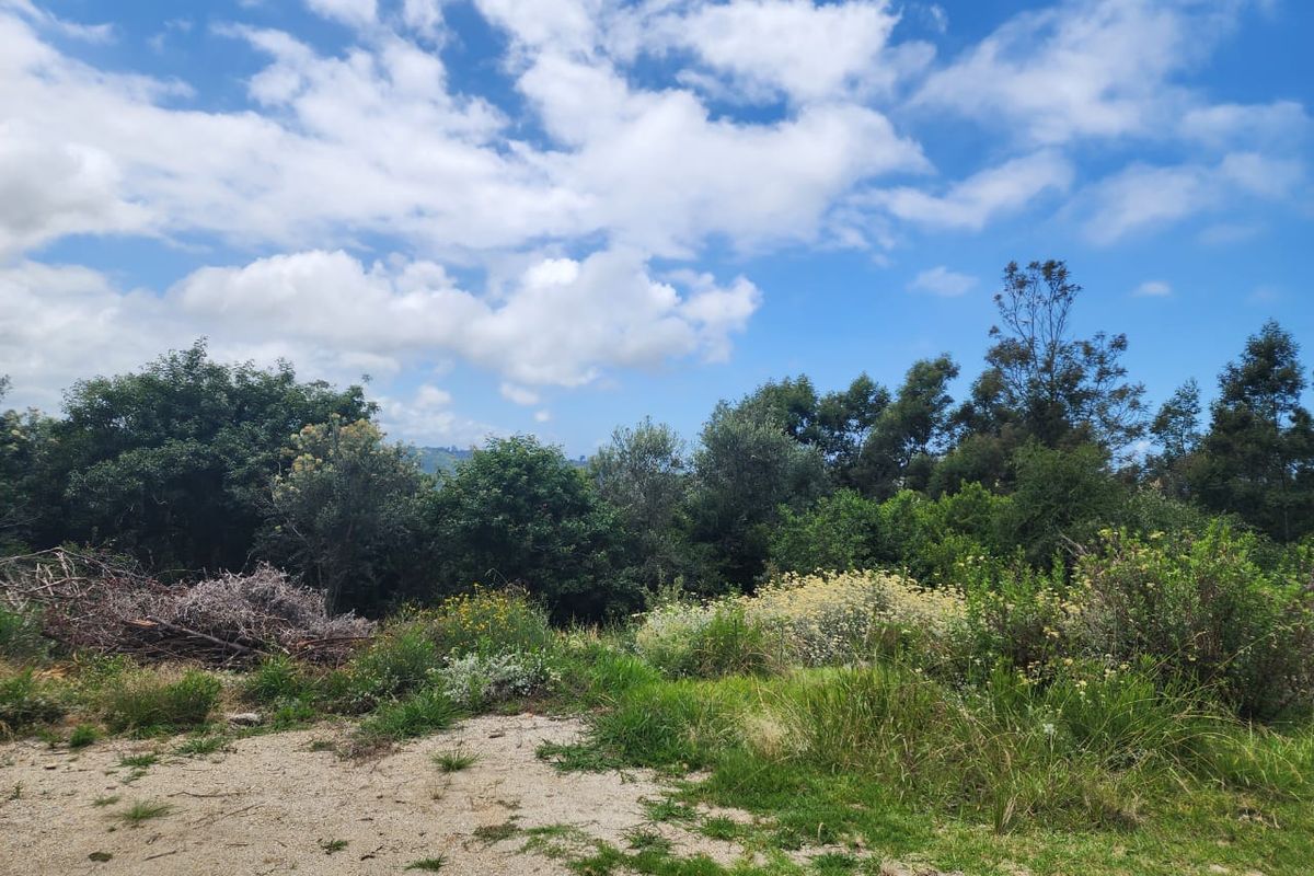 6.2 Hectare Prime smallholding to make your own! - Photo 5