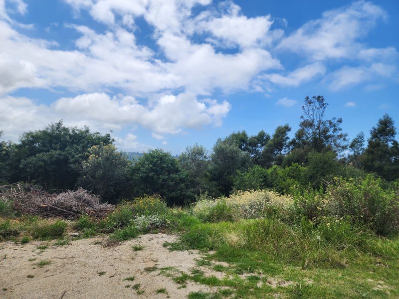 6.2 Hectare Prime smallholding to make your own! - Photo 5