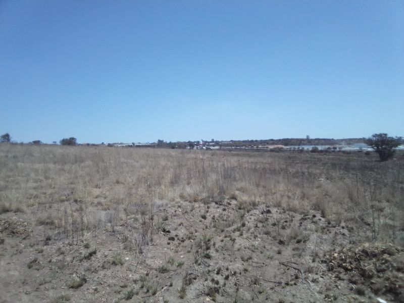 TEN HECTARES (100 000) VACANT LAND PROPERTY FOR RENTAL - Photo 3
