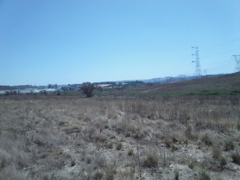 TEN HECTARES (100 000) VACANT LAND PROPERTY FOR RENTAL - Photo 8