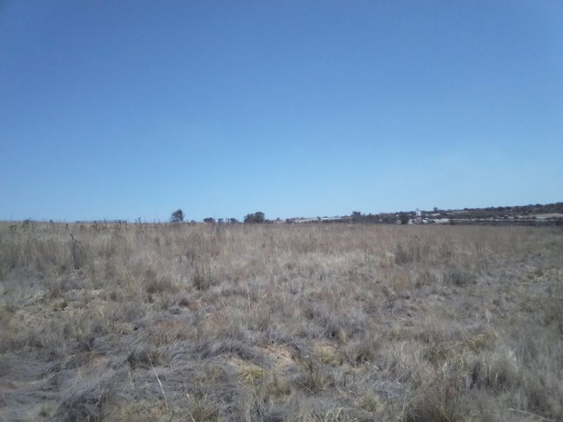 TEN HECTARES (100 000) VACANT LAND PROPERTY FOR RENTAL - Photo 7