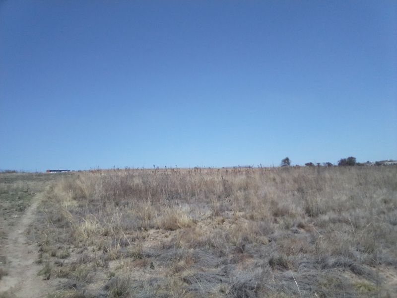 TEN HECTARES (100 000) VACANT LAND PROPERTY FOR RENTAL - Photo 6