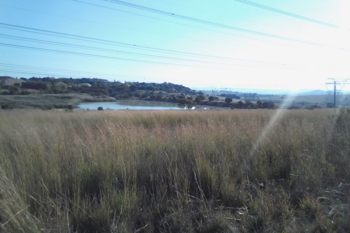 40 HECTARES AGRICULTURE FARMING LAND FOR RENTAL - Photo 3