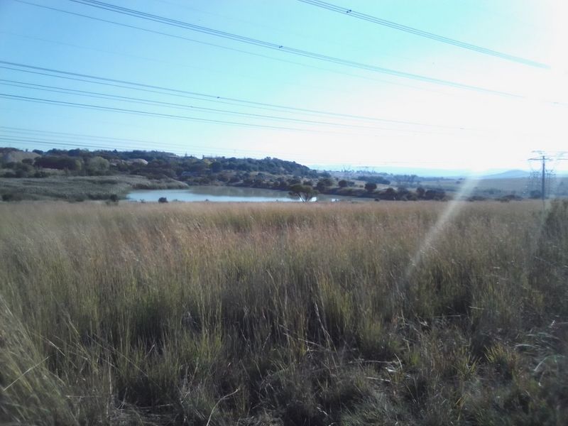 40 HECTARES AGRICULTURE FARMING LAND FOR RENTAL - Photo 3