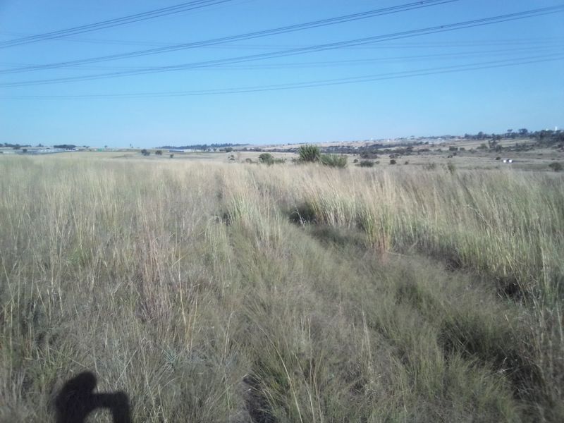 40 HECTARES AGRICULTURE FARMING LAND FOR RENTAL - Photo 4