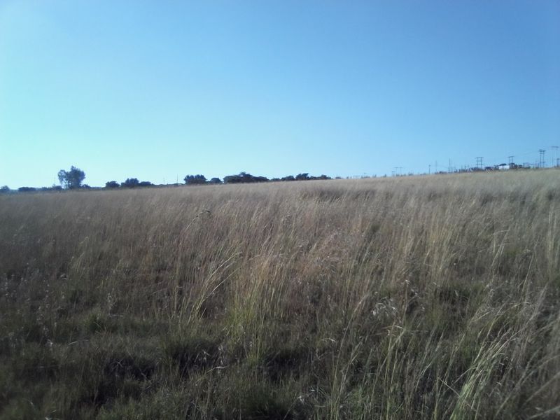 40 HECTARES AGRICULTURE FARMING LAND FOR RENTAL - Photo 10