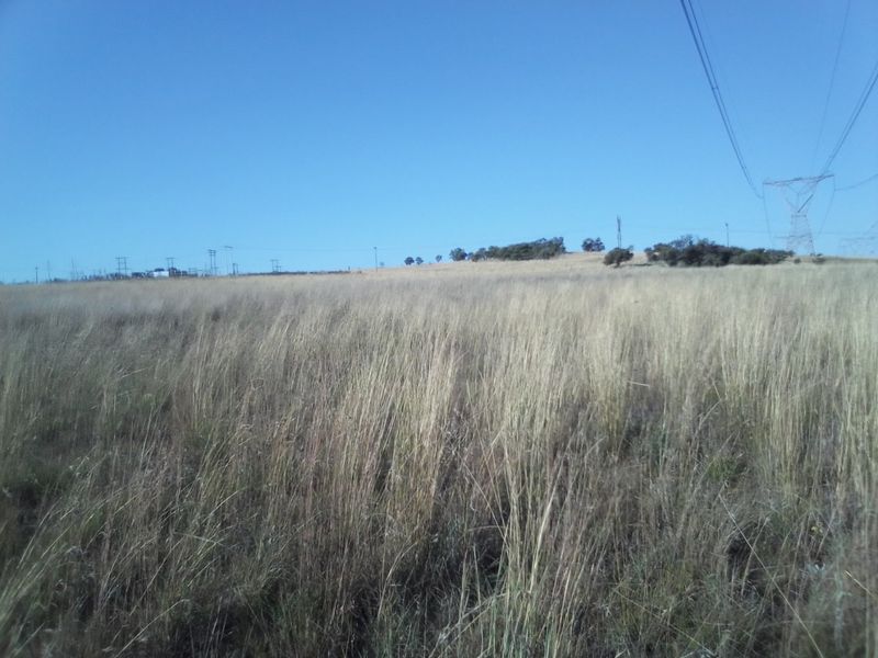 40 HECTARES AGRICULTURE FARMING LAND FOR RENTAL - Photo 7
