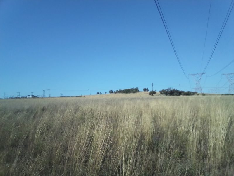40 HECTARES AGRICULTURE FARMING LAND FOR RENTAL - Photo 9