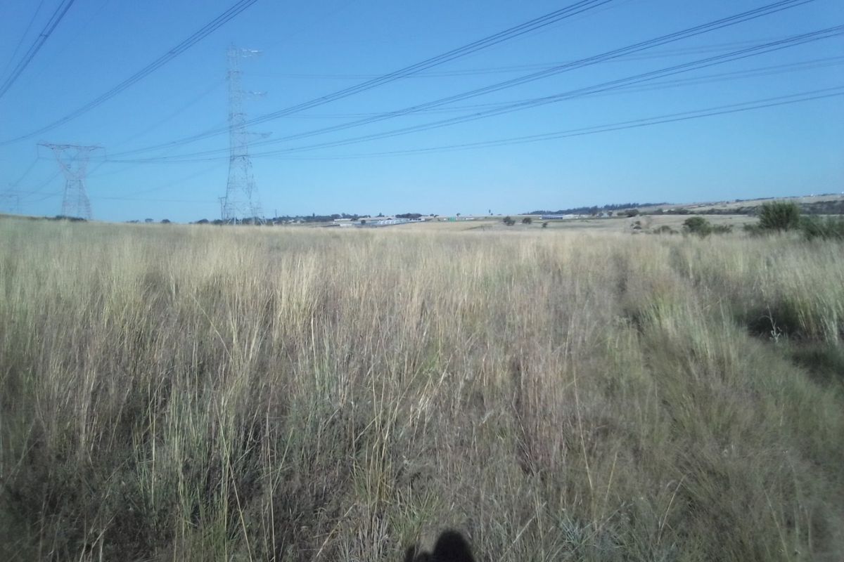 40 HECTARES AGRICULTURE FARMING LAND FOR RENTAL - Photo 5