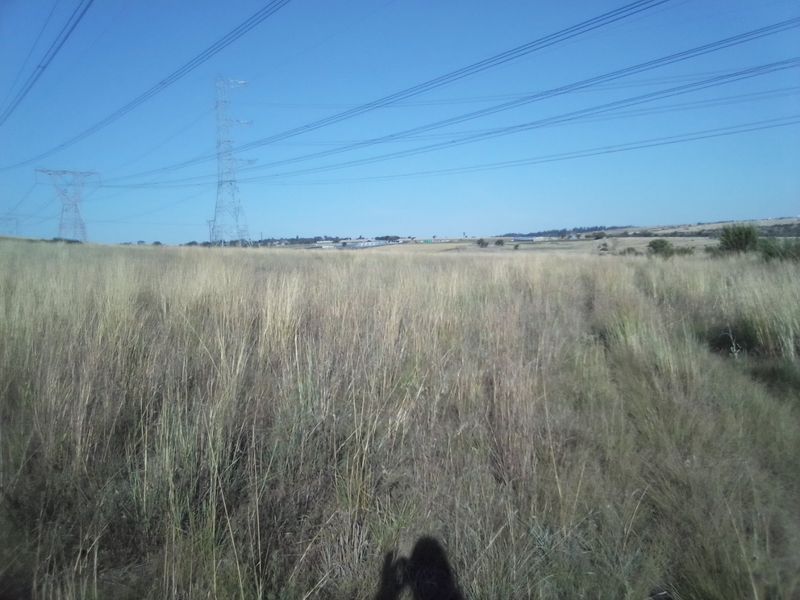40 HECTARES AGRICULTURE FARMING LAND FOR RENTAL - Photo 5