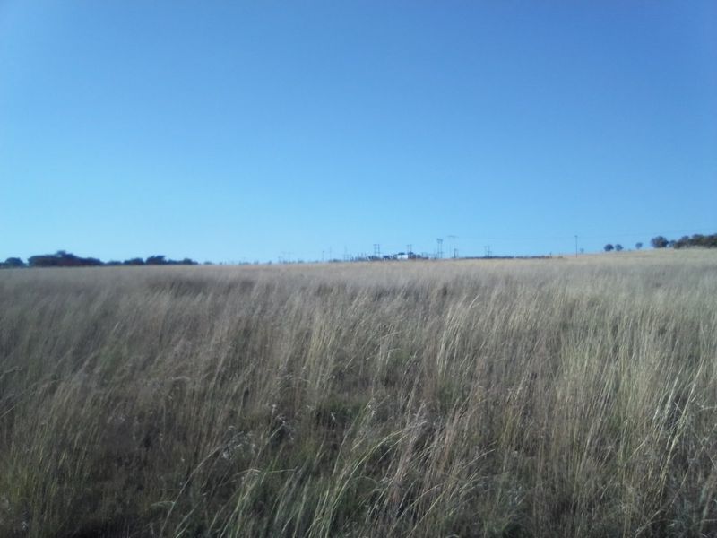 40 HECTARES AGRICULTURE FARMING LAND FOR RENTAL - Photo 8