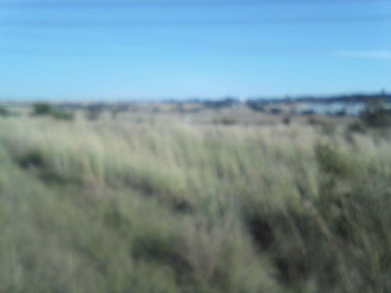 40 HECTARES AGRICULTURE FARMING LAND FOR RENTAL - Photo 6