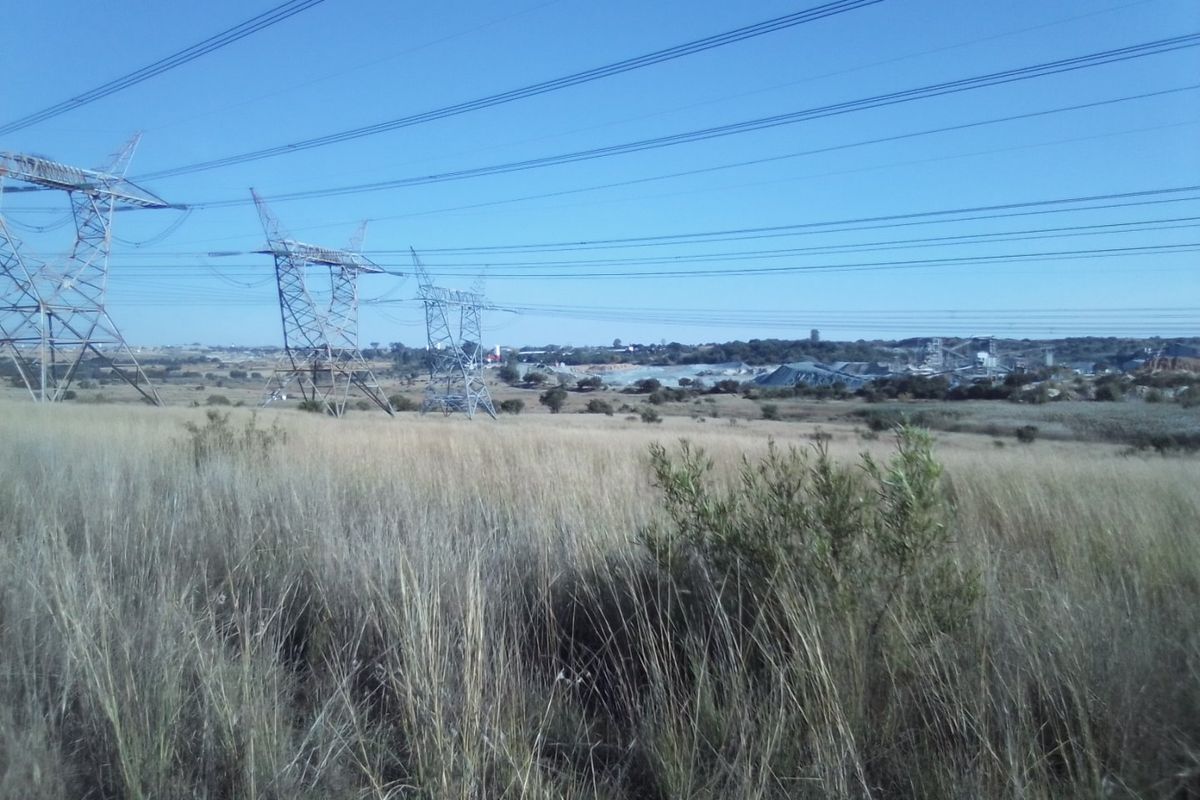 40 HECTARES AGRICULTURE FARMING LAND FOR RENTAL - Photo 2