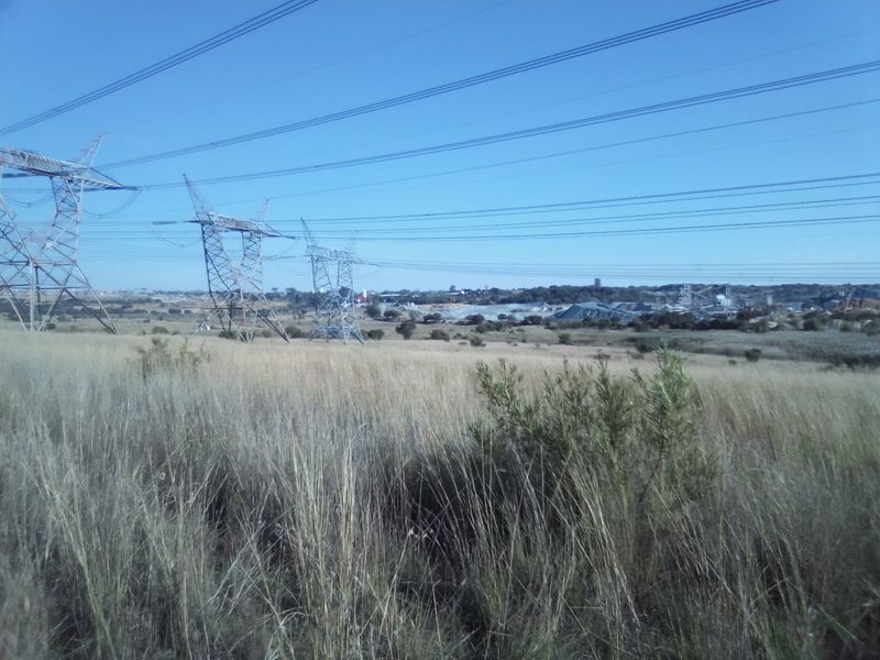 40 HECTARES AGRICULTURE FARMING LAND FOR RENTAL - Photo 2