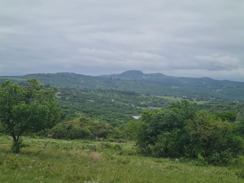 Incredible Views, Large Erf, Privacy - Photo 3