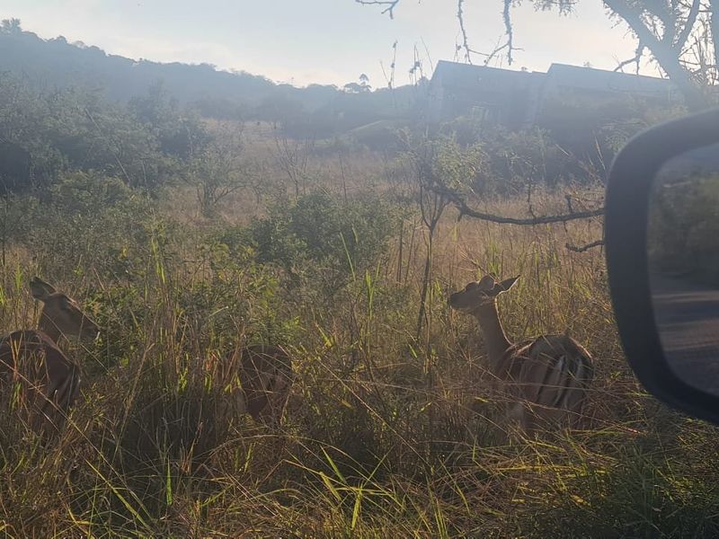 Incredible Views, Large Erf, Privacy - Photo 6