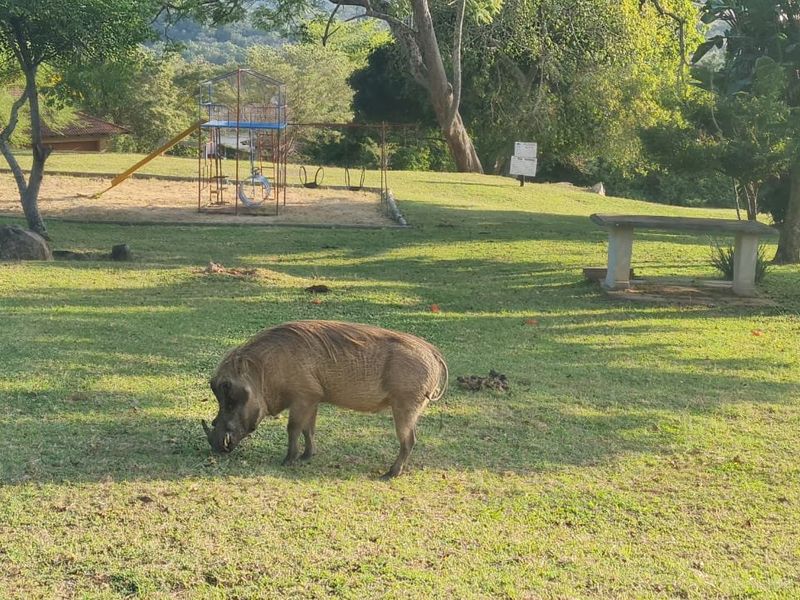 Incredible Views, Large Erf, Privacy - Photo 7