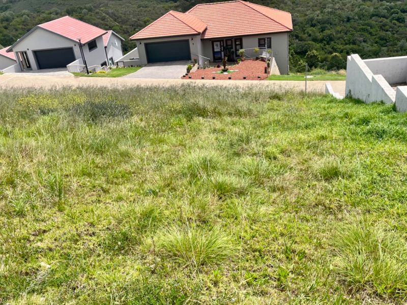 Stunning North Facing Vacant Land in Avonddans Security Estate. - Photo 3