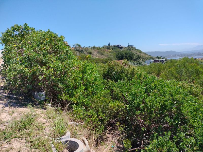 Prime Vacant Stand with Breathtaking Views! - Photo 4