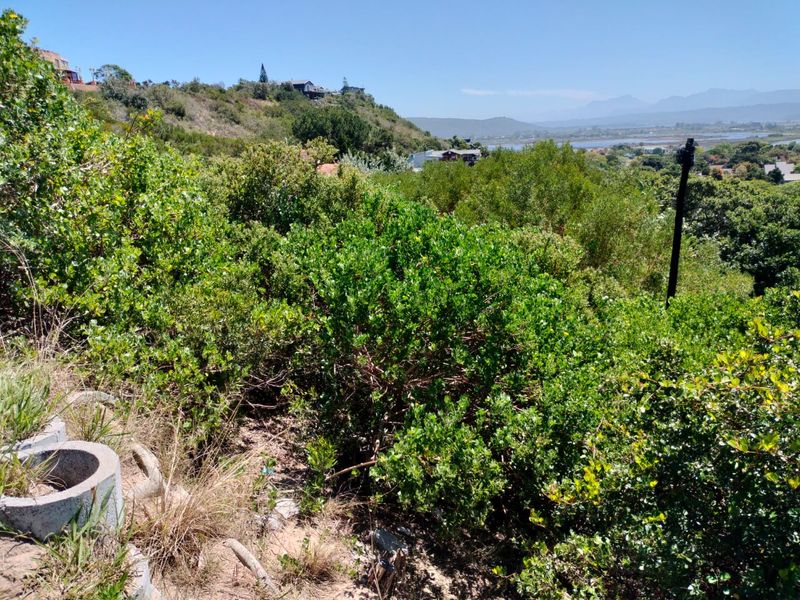 Prime Vacant Stand with Breathtaking Views! - Photo 6