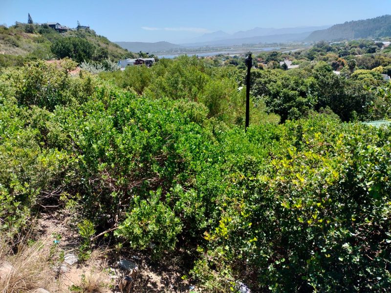 Prime Vacant Stand with Breathtaking Views! - Photo 8