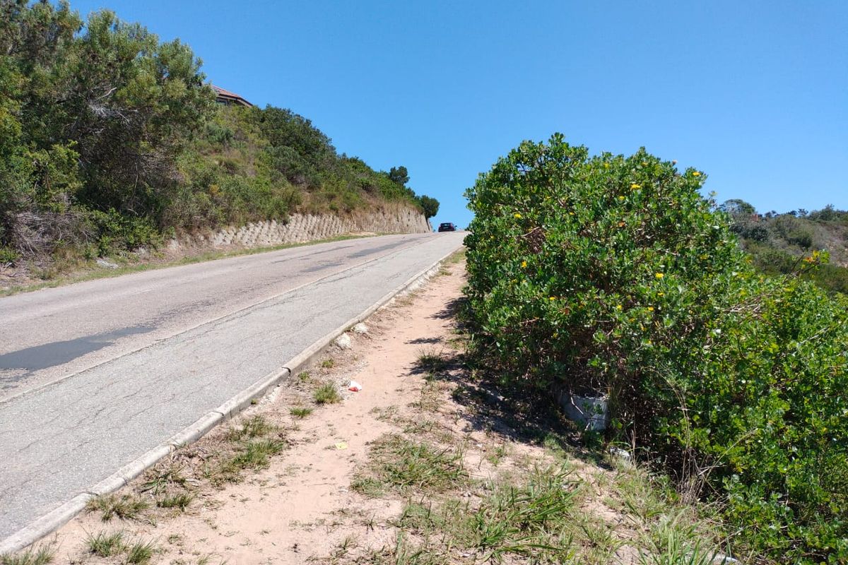 Prime Vacant Stand with Breathtaking Views! - Photo 5