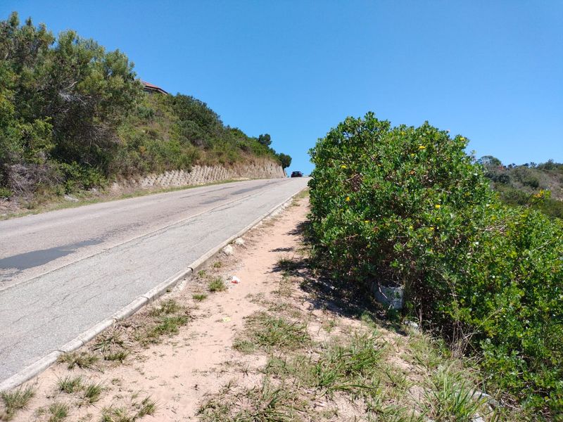 Prime Vacant Stand with Breathtaking Views! - Photo 5