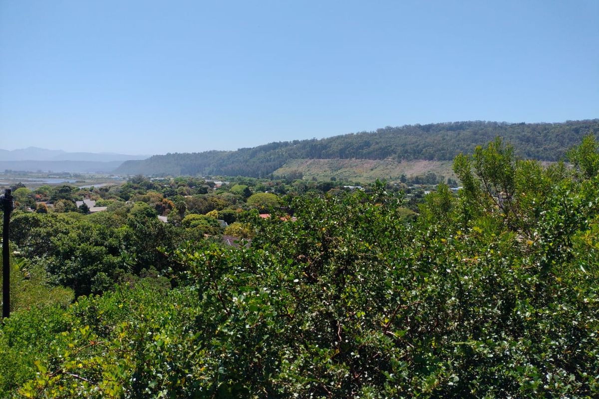 A scenic elevated view overlooking a lush green landscape, residential area, and distant hills under a clear blue sky.